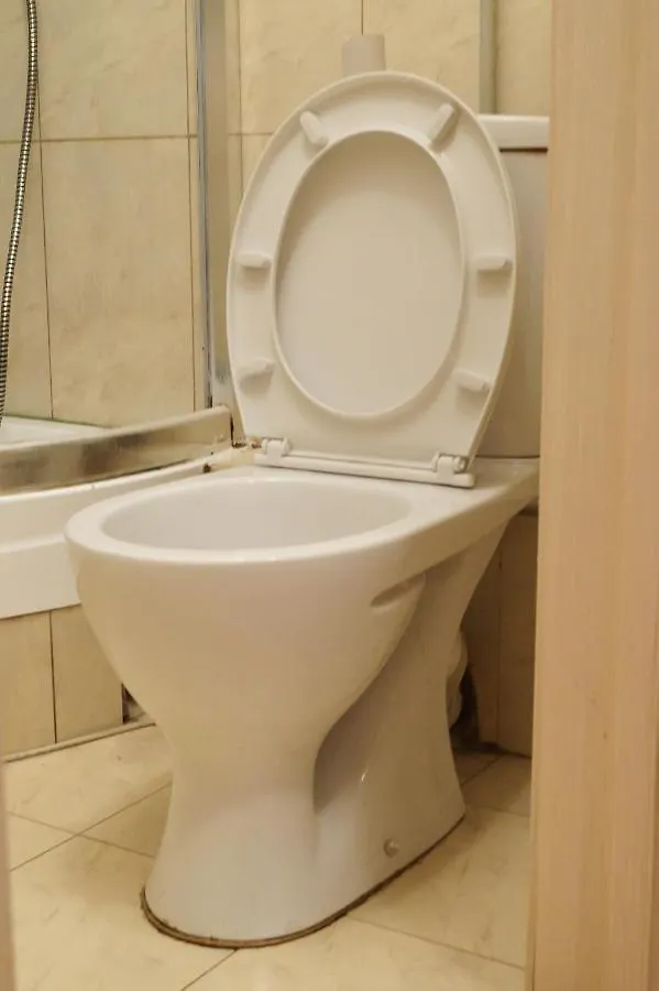 Apartment Triokhsviatytelskaya Street 3 Kiev